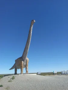 Península de Valdés Patrimonio de la Humanidad