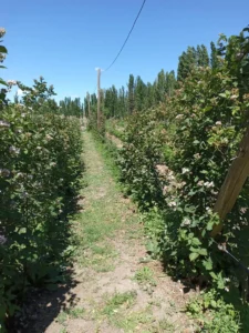 Provincia de Chubut Turismo