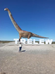 la Gesta Galesa Argentina