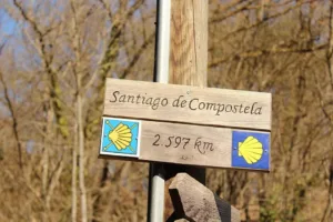 el Camino de Santiago