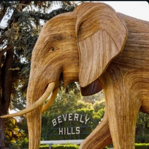 La Gran Migración de los Elefantes