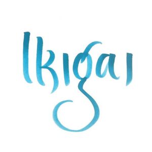 Ikigai que es